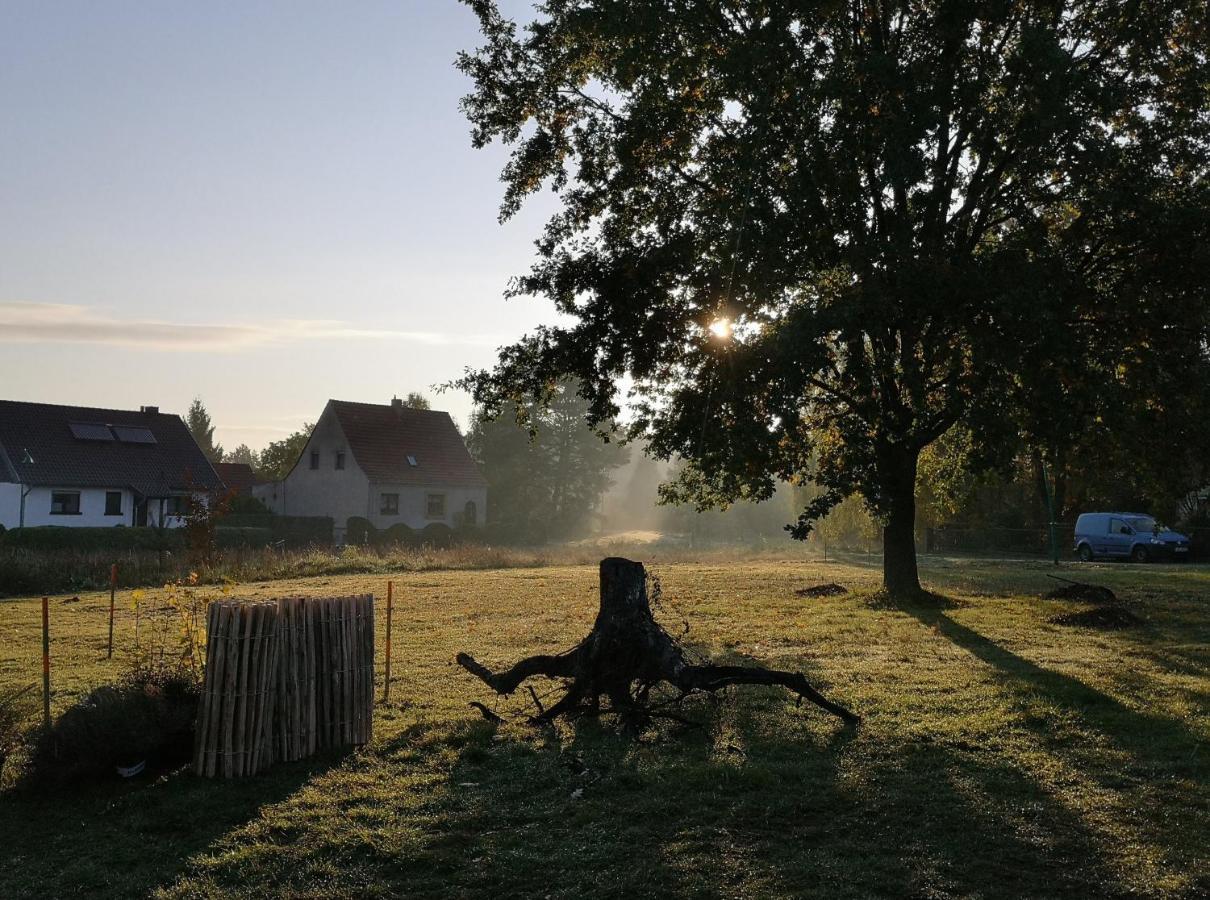 Ferienwohnung & Campingplatz Vor Dem Berg Heideblick Экстерьер фото